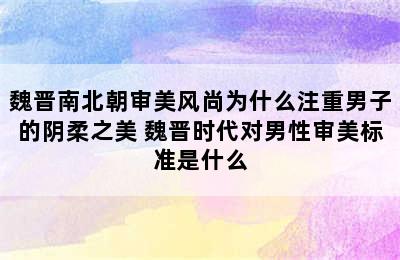 魏晋南北朝审美风尚为什么注重男子的阴柔之美 魏晋时代对男性审美标准是什么